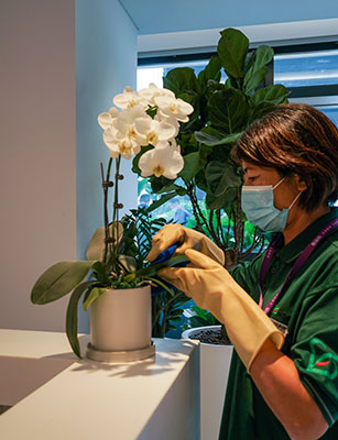 9001cc��ɳ�Գ�Ϊ��(�й�����)-�ٷ���վ