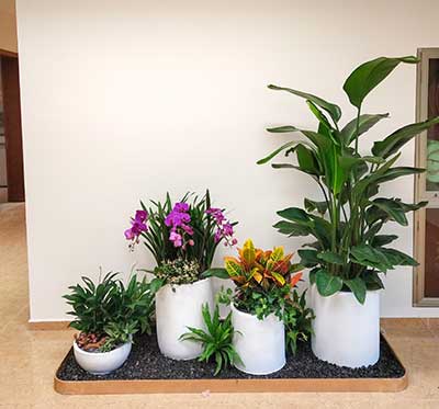 9001cc��ɳ�Գ�Ϊ��(�й�����)-�ٷ���վ