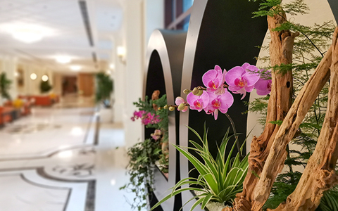 9001cc��ɳ�Գ�Ϊ��(�й�����)-�ٷ���վ