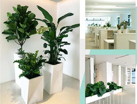 9001cc��ɳ�Գ�Ϊ��(�й�����)-�ٷ���վ