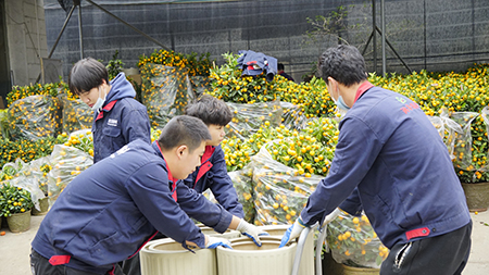 9001cc��ɳ�Գ�Ϊ��(�й�����)-�ٷ���վ