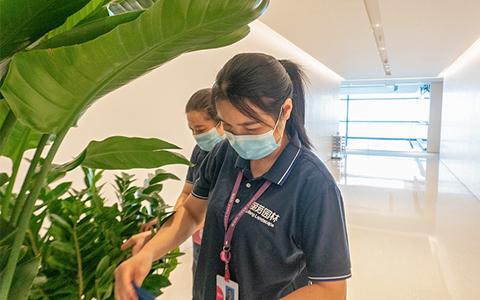 9001cc��ɳ�Գ�Ϊ��(�й�����)-�ٷ���վ