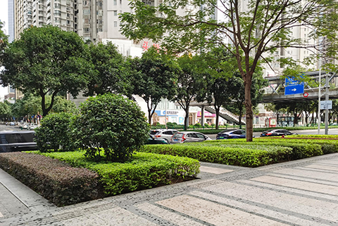 9001cc��ɳ�Գ�Ϊ��(�й�����)-�ٷ���վ