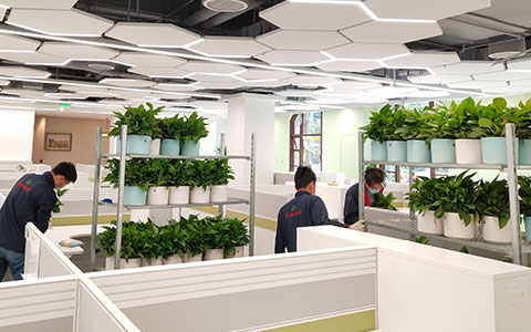 9001cc��ɳ�Գ�Ϊ��(�й�����)-�ٷ���վ