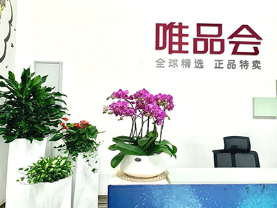 9001cc��ɳ�Գ�Ϊ��(�й�����)-�ٷ���վ