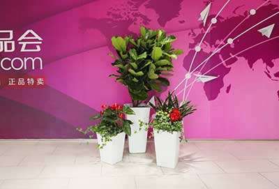 9001cc��ɳ�Գ�Ϊ��(�й�����)-�ٷ���վ