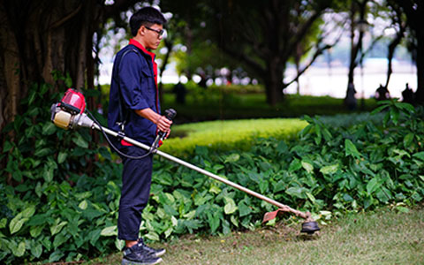 9001cc��ɳ�Գ�Ϊ��(�й�����)-�ٷ���վ