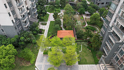 9001cc��ɳ�Գ�Ϊ��(�й�����)-�ٷ���վ