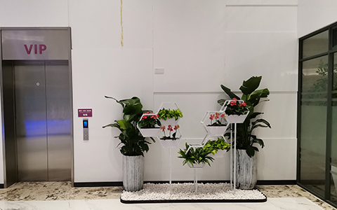 9001cc��ɳ�Գ�Ϊ��(�й�����)-�ٷ���վ