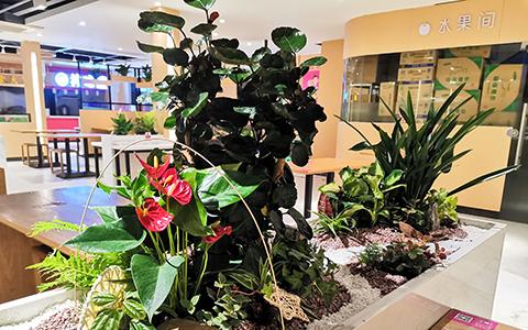 9001cc��ɳ�Գ�Ϊ��(�й�����)-�ٷ���վ