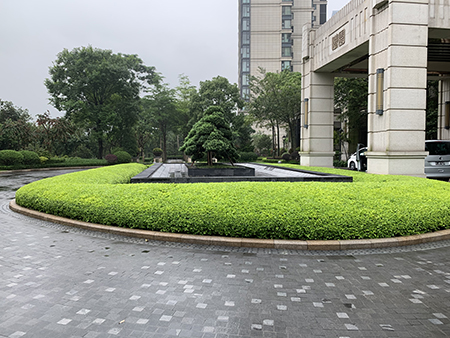 9001cc��ɳ�Գ�Ϊ��(�й�����)-�ٷ���վ