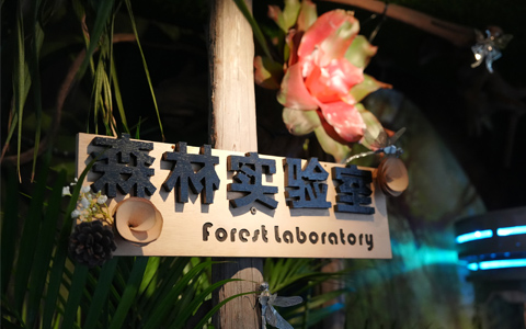 9001cc��ɳ�Գ�Ϊ��(�й�����)-�ٷ���վ