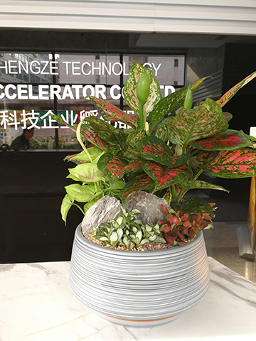 9001cc��ɳ�Գ�Ϊ��(�й�����)-�ٷ���վ