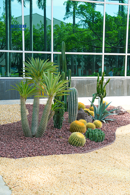 9001cc��ɳ�Գ�Ϊ��(�й�����)-�ٷ���վ