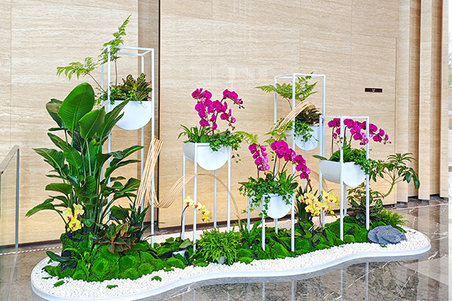 9001cc��ɳ�Գ�Ϊ��(�й�����)-�ٷ���վ