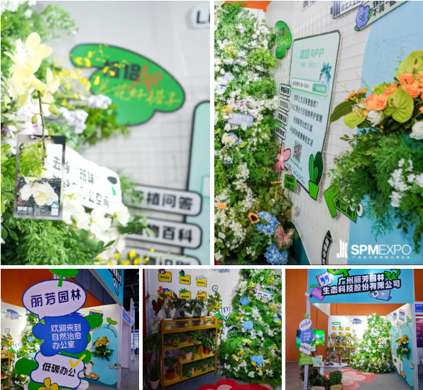 9001cc金沙以诚为本(中国集团)-官方网站