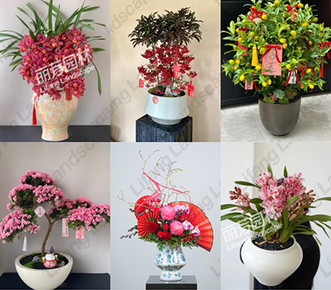 9001cc��ɳ�Գ�Ϊ��(�й�����)-�ٷ���վ