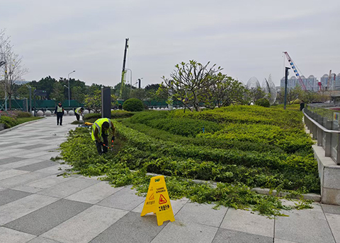 9001cc金沙以诚为本(中国集团)-官方网站