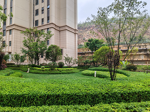 9001cc��ɳ�Գ�Ϊ��(�й�����)-�ٷ���վ