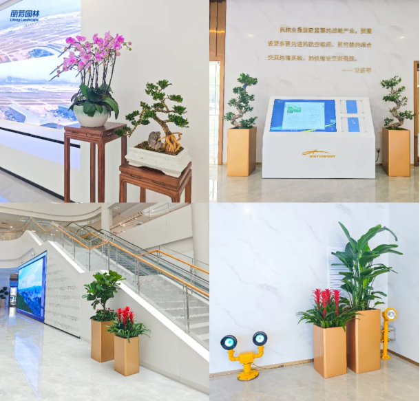 9001cc金沙以诚为本(中国集团)-官方网站