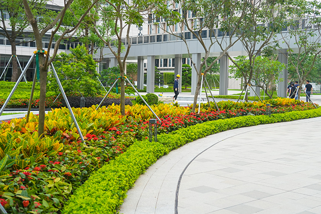 9001cc��ɳ�Գ�Ϊ��(�й�����)-�ٷ���վ