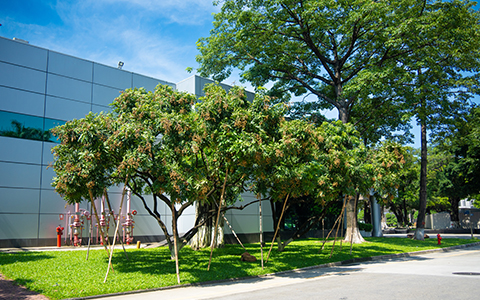 9001cc��ɳ�Գ�Ϊ��(�й�����)-�ٷ���վ