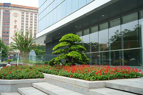 9001cc��ɳ�Գ�Ϊ��(�й�����)-�ٷ���վ