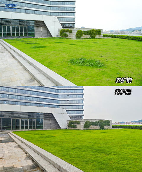 9001cc��ɳ�Գ�Ϊ��(�й�����)-�ٷ���վ