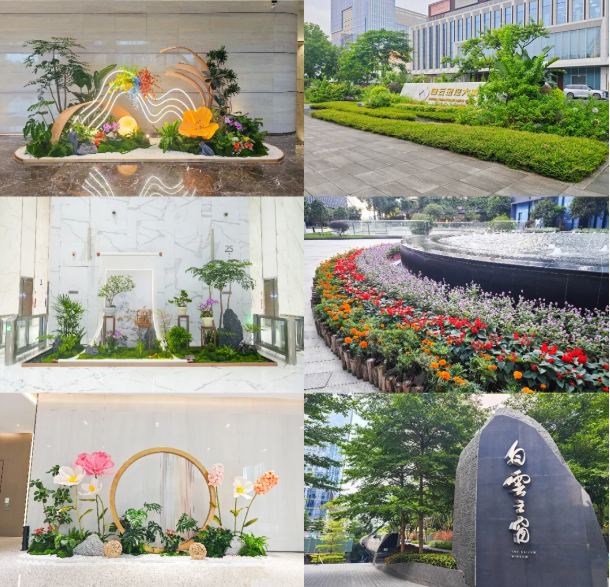 9001cc��ɳ�Գ�Ϊ��(�й�����)-�ٷ���վ