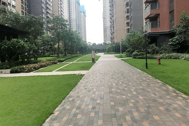 9001cc��ɳ�Գ�Ϊ��������Ŀ��Զ��ҵ����