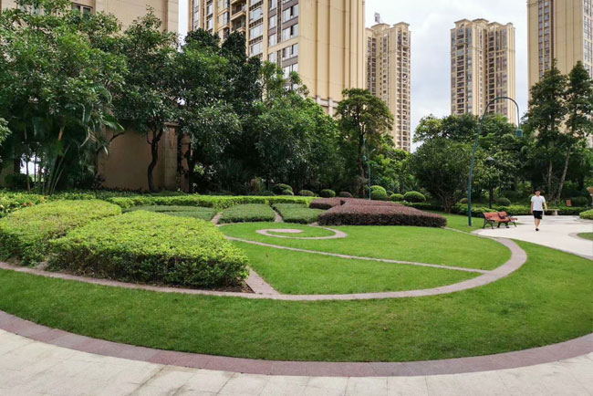 �̻�������Ŀ����������¡��仨԰