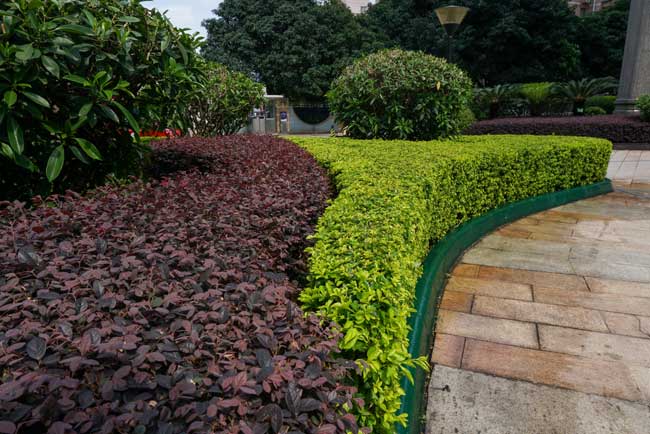 С���̻�����