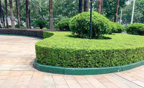 ��ҵ�����̻�����