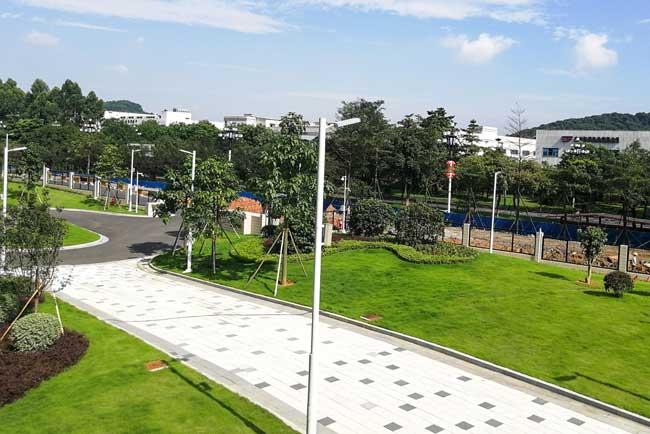 LG Display��CO������