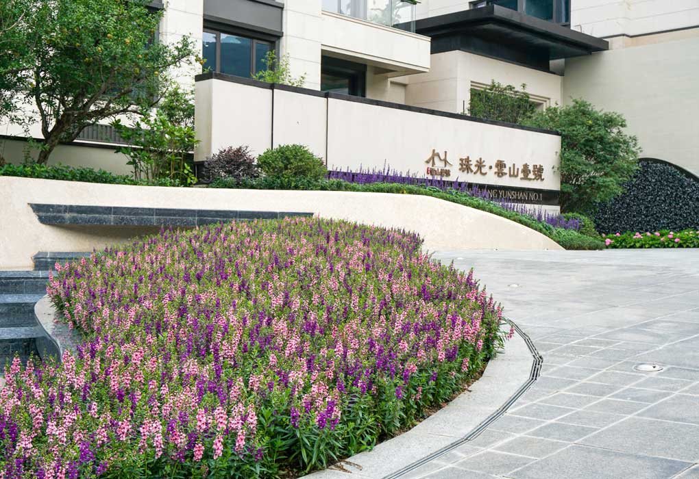 �����ɽҼ�Ż������