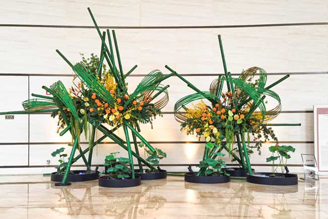 ������Ļ�㳡��ֲ������