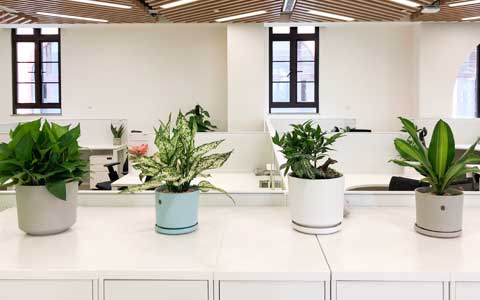 �칫������ֲ����ô��������������������������Ҫ����