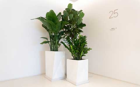 ������ֲ���������շѱ�׼������������