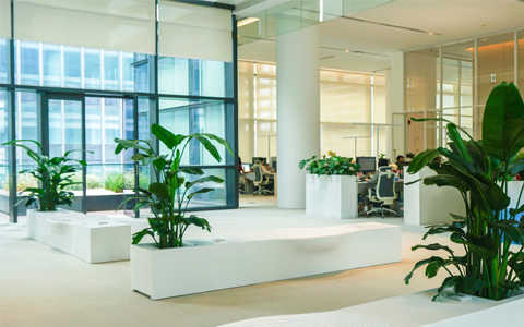 9001cc��ɳ�Գ�Ϊ���칫����ֲ�ڷſ�������ˮ,������Ҫ֪��!