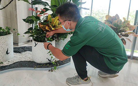 ��ľ������˾������ֲ����-������,ÿ�ܰ�����������