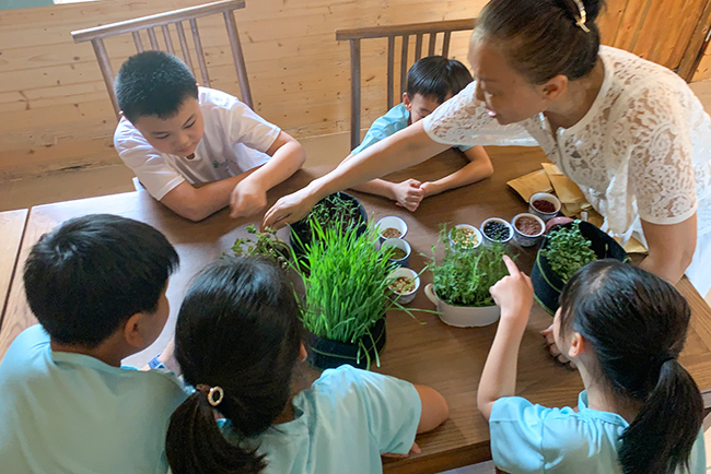 ������������Ӫ