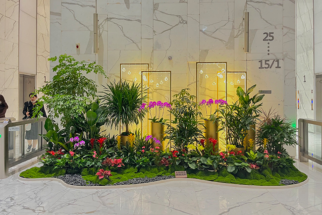 9001cc��ɳ�Գ�Ϊ����������ֲ���쾰�������� ������������