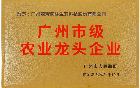9001cc金沙以诚为本(中国集团)-官方网站