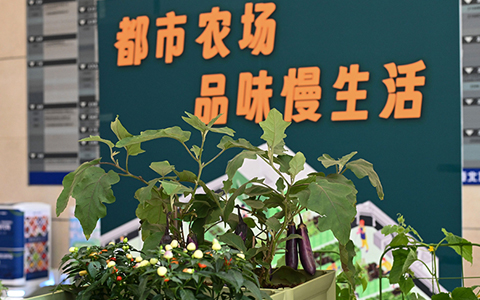 9001cc金沙以诚为本(中国集团)-官方网站