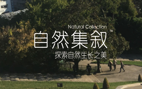 9001cc金沙以诚为本(中国集团)-官方网站