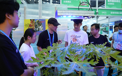 9001cc金沙以诚为本(中国集团)-官方网站