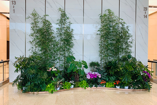 9001cc��ɳ�Գ�Ϊ�������̻��������