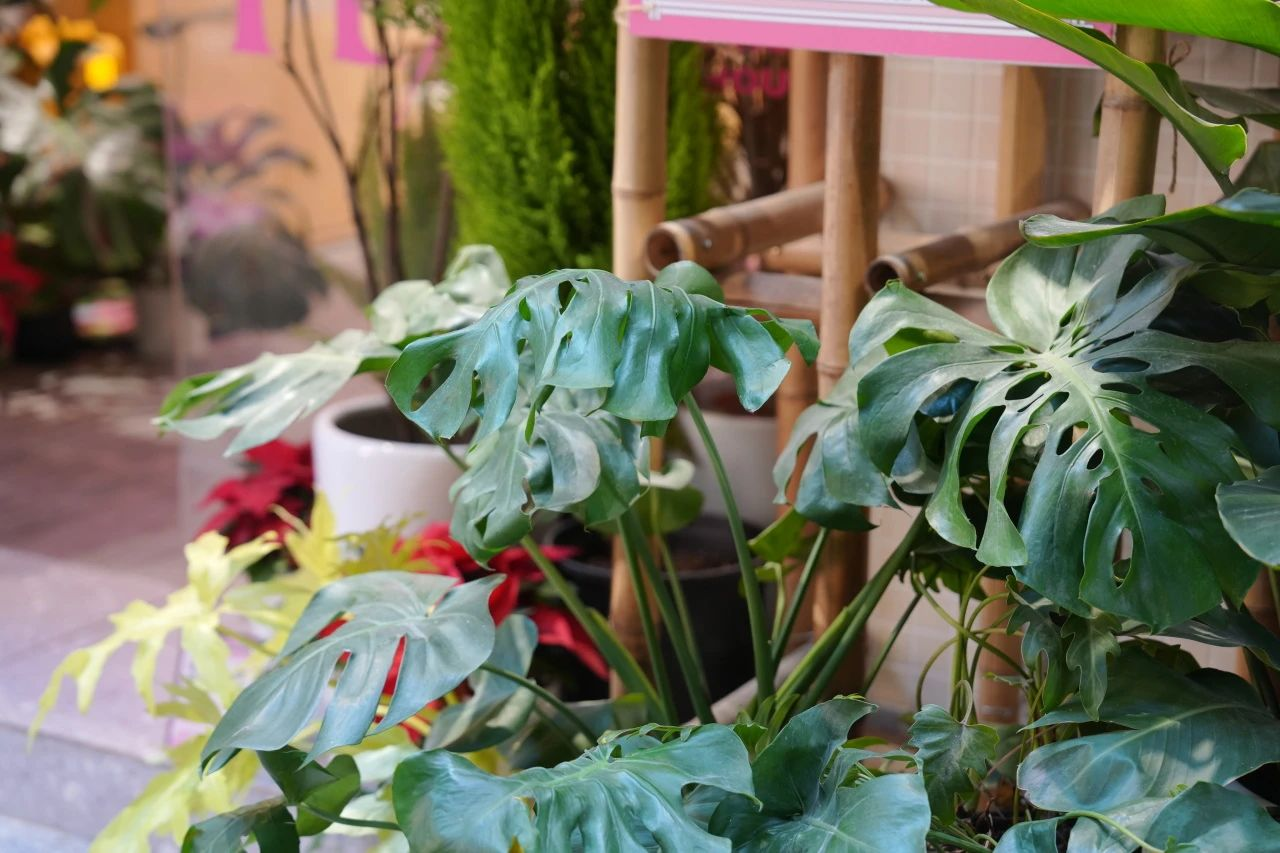 9001cc��ɳ�Գ�Ϊ��(�й�����)-�ٷ���վ