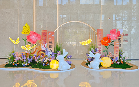 9001cc��ɳ�Գ�Ϊ����ֲ����Ϊ���75���껪������