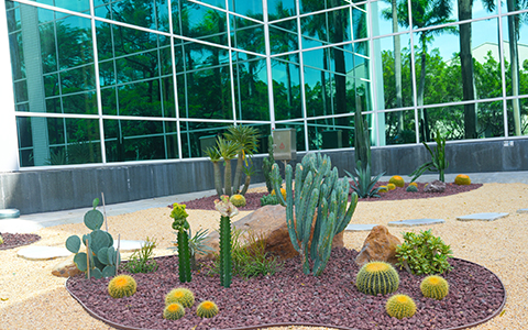 9001cc��ɳ�Գ�Ϊ���������������ݹ���ɳĮ����ˢ��Բ����ɣ�